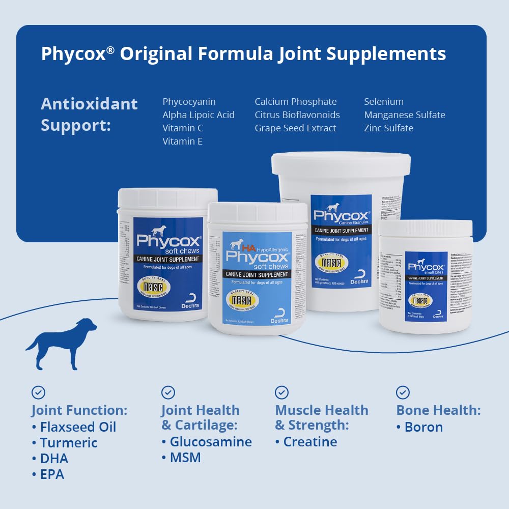 Phycox dose quotidienne chien: guide simple pour l'apport journalier.