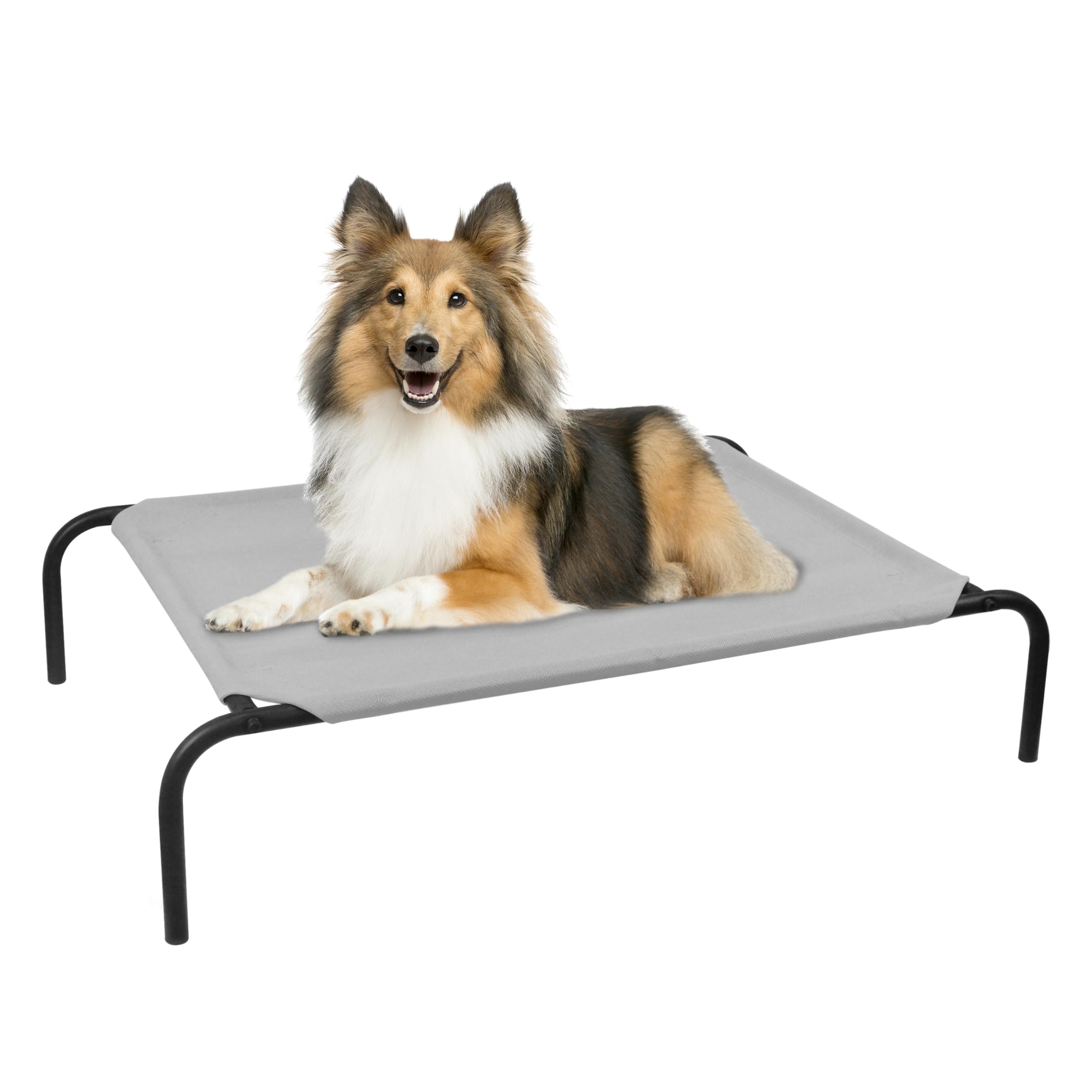 PHYEX lit-dog-bed cadre-metal-portatif: cadre robuste pour repos surélevé