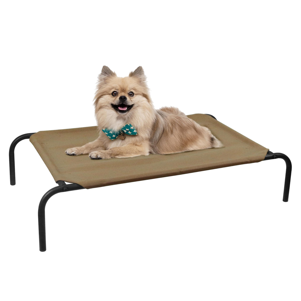 PHYEX lit-pet élevé 33 pouces offre une surface surélevée pour petits animaux.