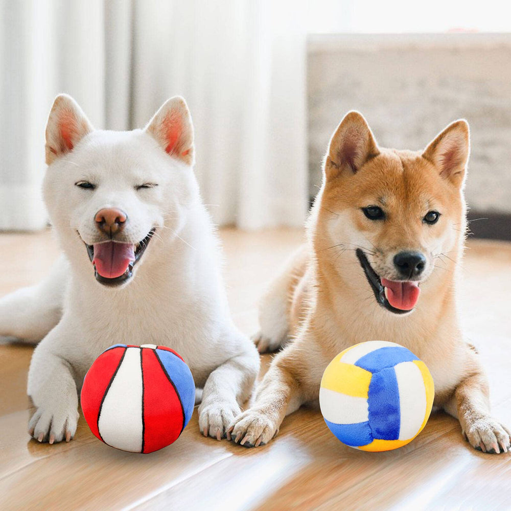 Cadeau idéal PIANG GOUER pour Noël ou anniversaire des chiens