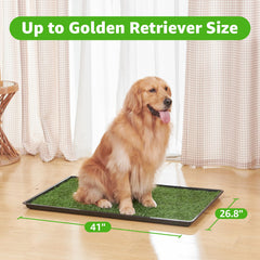 PICK FOR LIFE bac toilette chien intérieur extérieur pratique