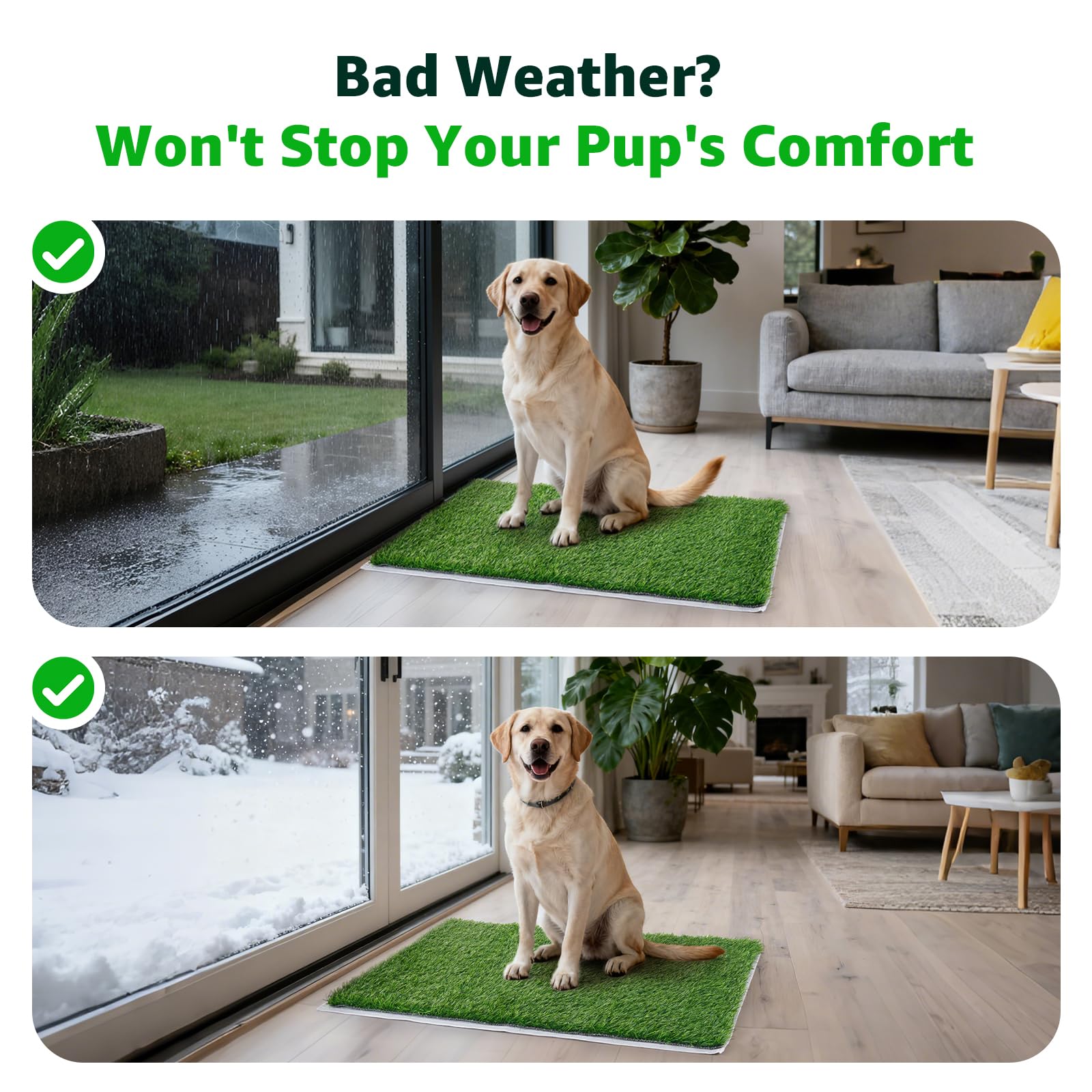 PICK FOR LIFE chiots utilisant le tapis, solution pratique à domicile