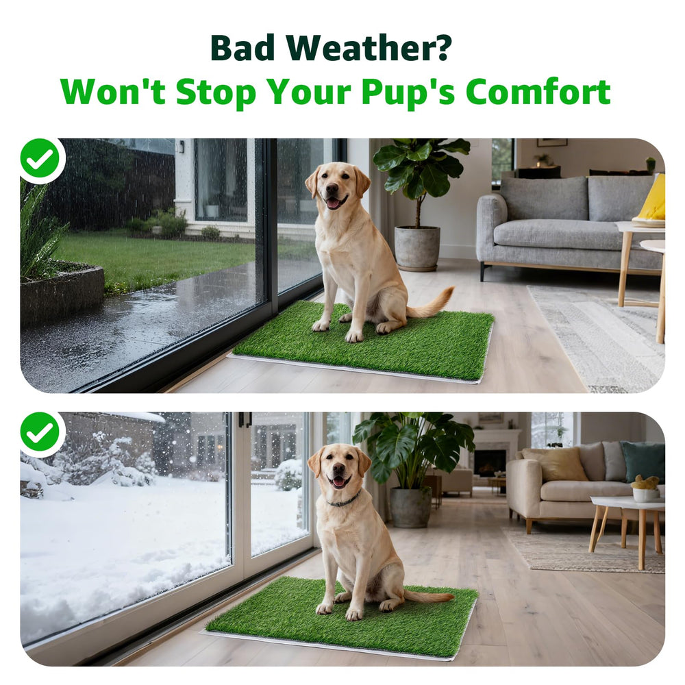 PICK FOR LIFE chiots utilisant le tapis, solution pratique à domicile