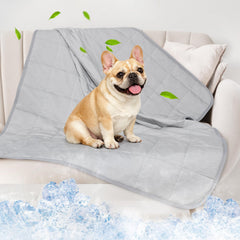 Couverture Pick For Life refroidissante pour chien, frais immédiat et agréable.
