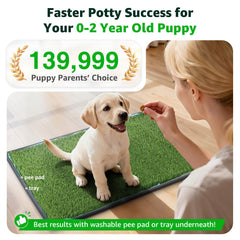 PICK FOR LIFE fibres douces de l’herbe artificielle, douceur pour les chiots
