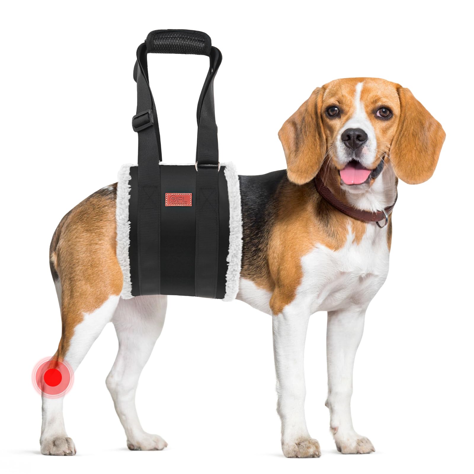 Harnais PICK FOR LIFE ajustable pour le levage des pattes arrières