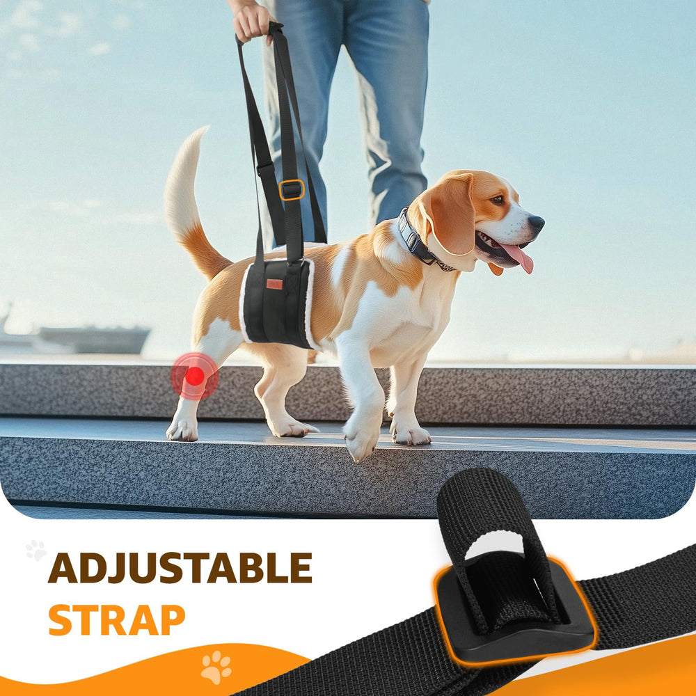 Harnais PICK FOR LIFE facile a laver et portable pour le transport