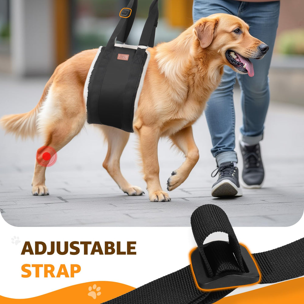 PICK FOR LIFE harnais-lift pour chien grande taille — design utile pour rehab post-opération.