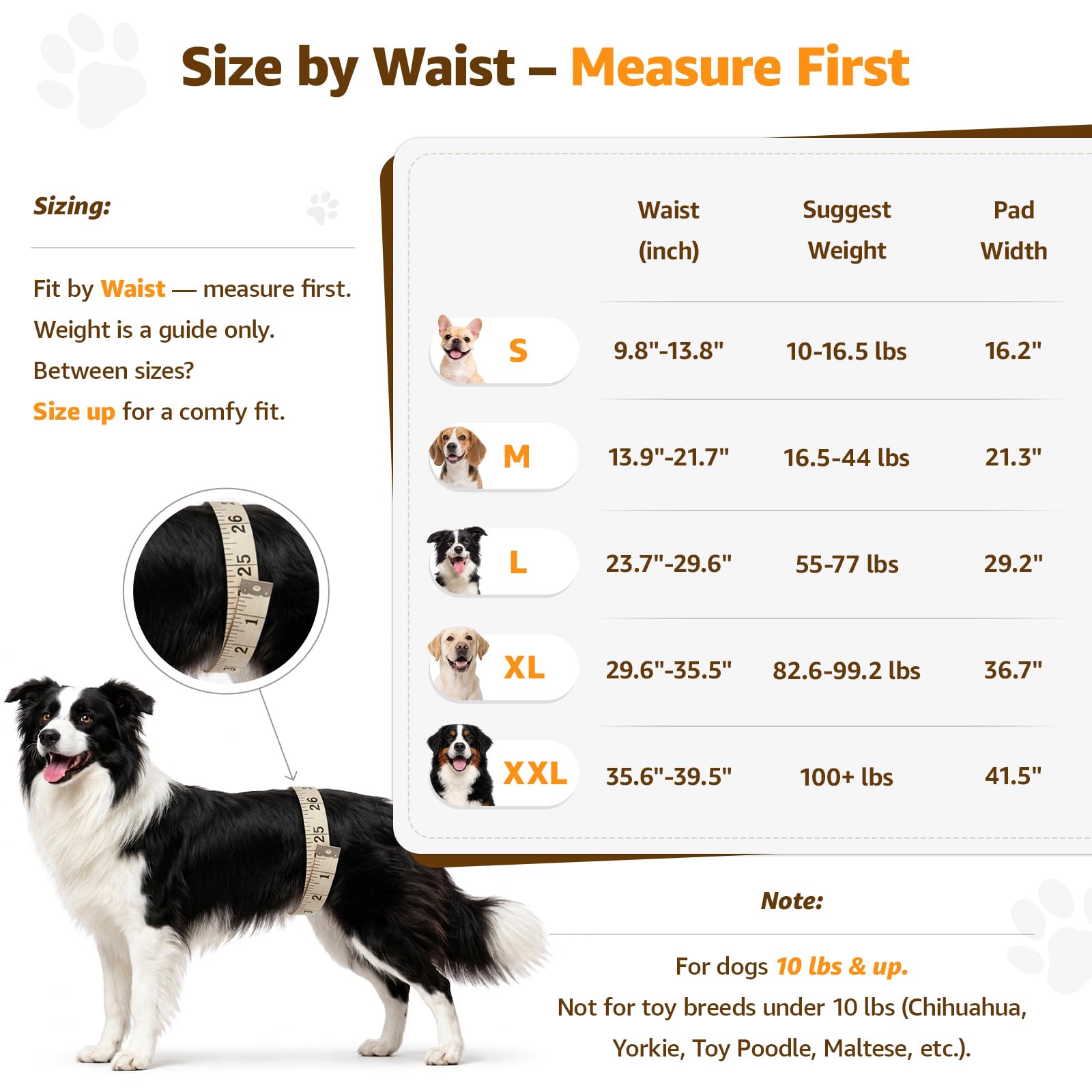 PICK FOR LIFE harnais-lift pour chien grande taille — poignée rembourrée pour un levage en douceur.