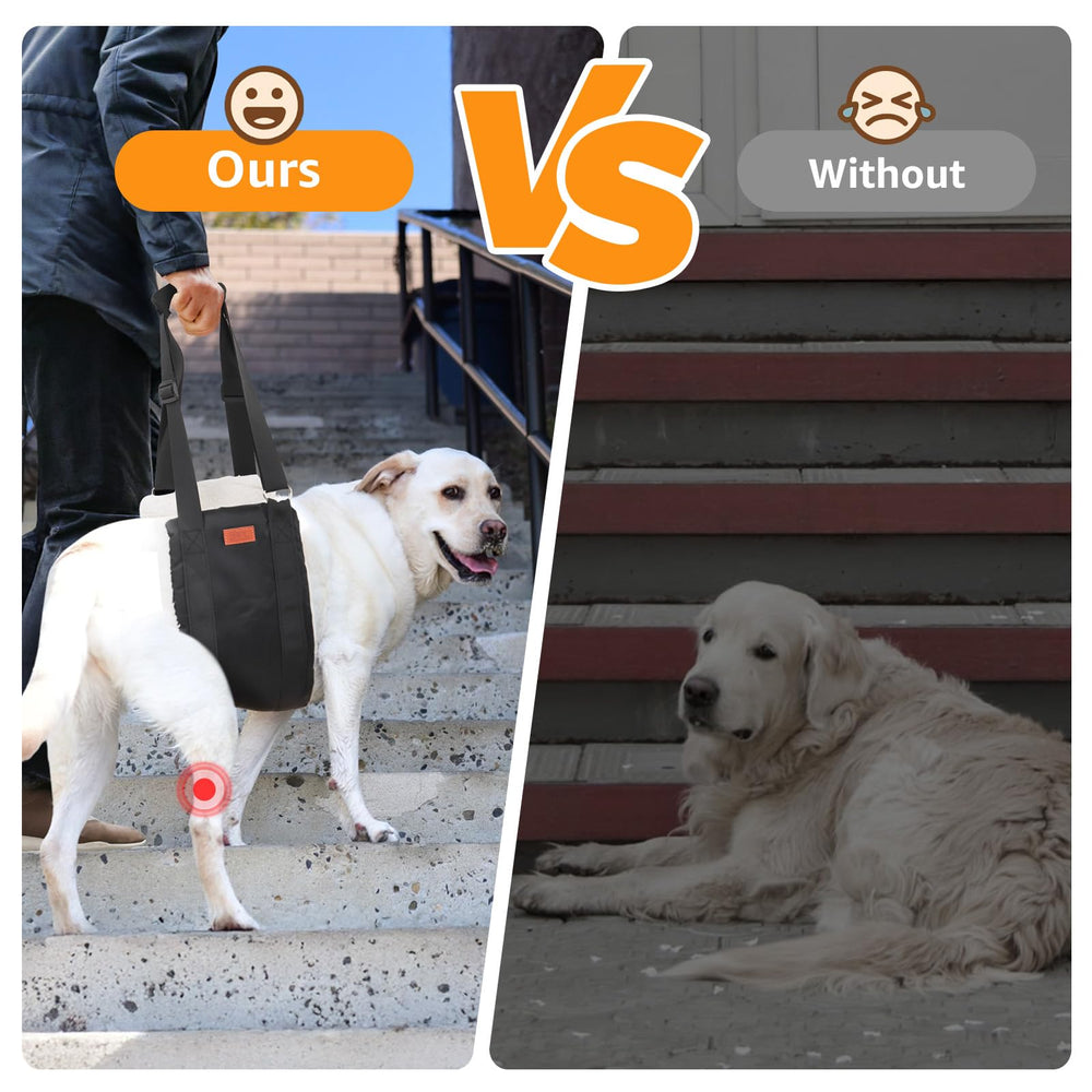 PICK FOR LIFE harnais-lift pour chien grande taille — utilisation domestique pour faciliter les déplacements.