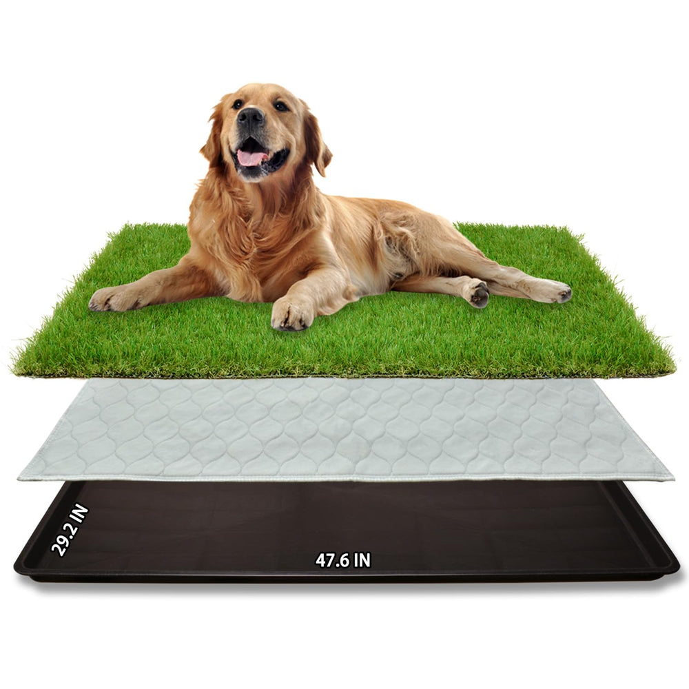 PICK FOR LIFE patch-herbe-chien-grand, surface naturelle idéale pour entraînement en intérieur