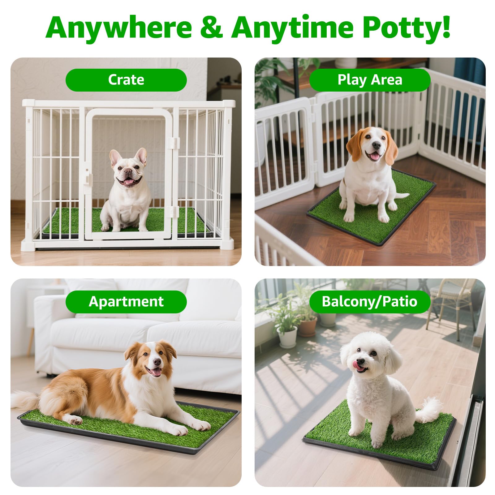 PICK FOR LIFE Attention aux dimensions pour petits chiens.