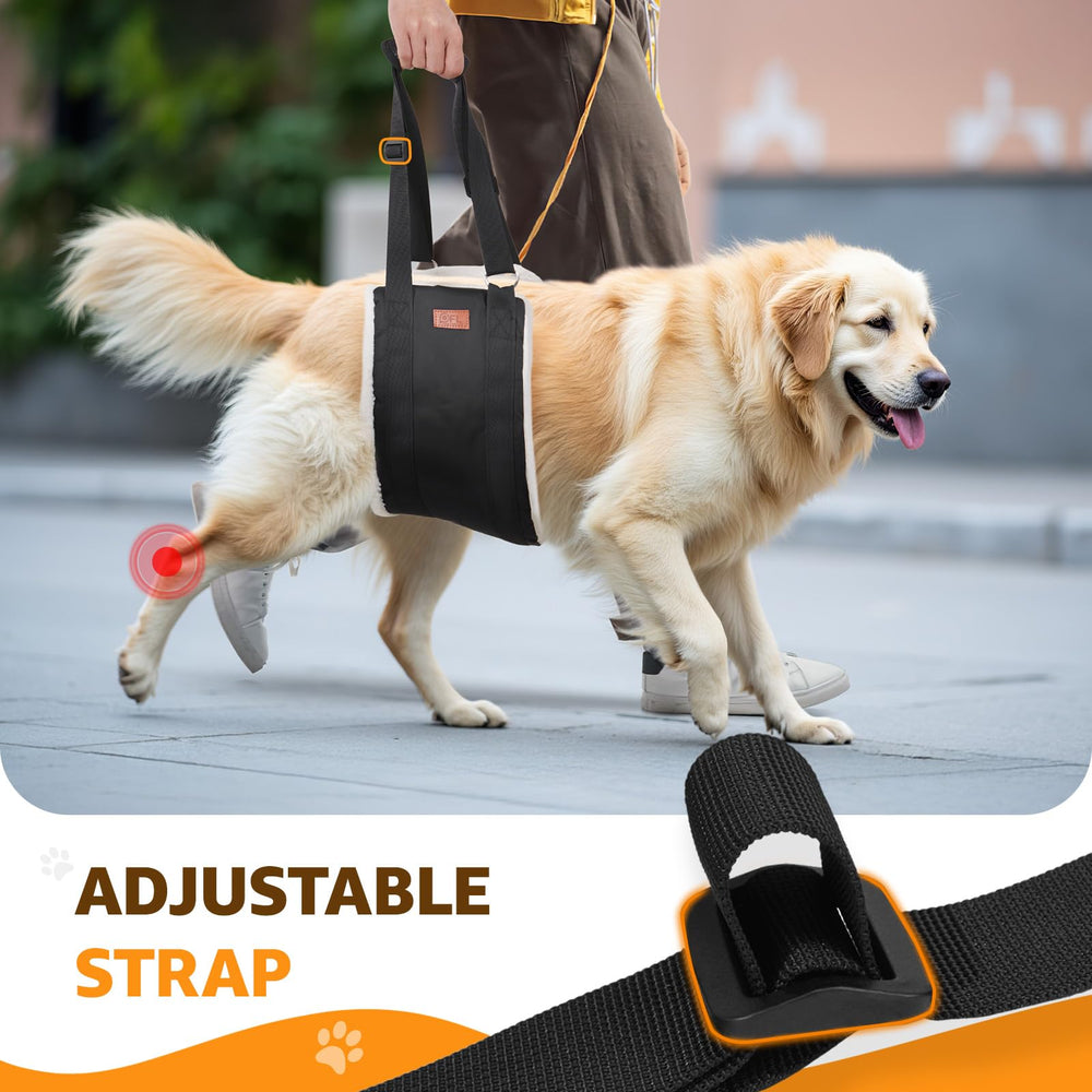 Sac de rangement inclus pour transporter facilement le harnais.