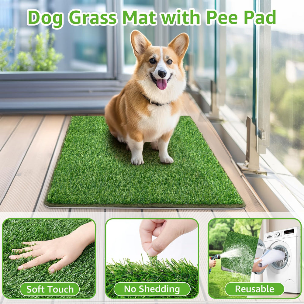 PICK FOR LIFE tapis-chien-avec-boucle: maintien fiable et réutilisable
