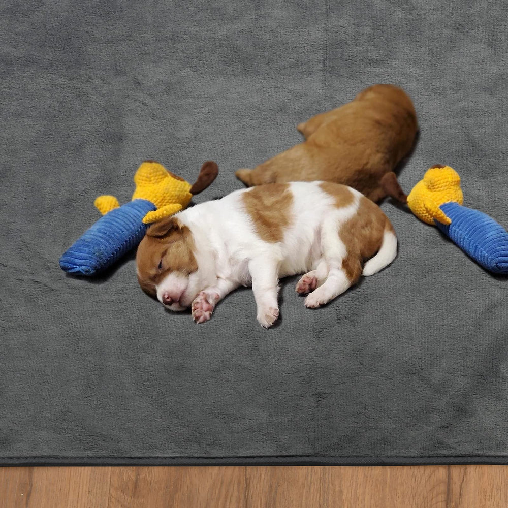 Tapis grande taille PICK FOR LIFE pour chien senior, propreté facilitée.