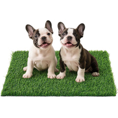 PICK FOR LIFE tapis d'herbe artificielle pour chiens, toilette pratique en intérieur