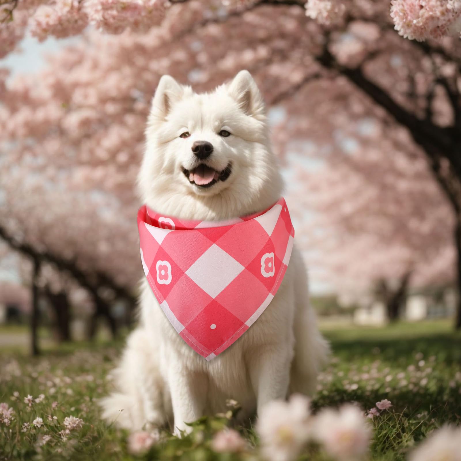 Bandanas Pickmesh trente-motifs, choix varié pour grooming et cadeaux.