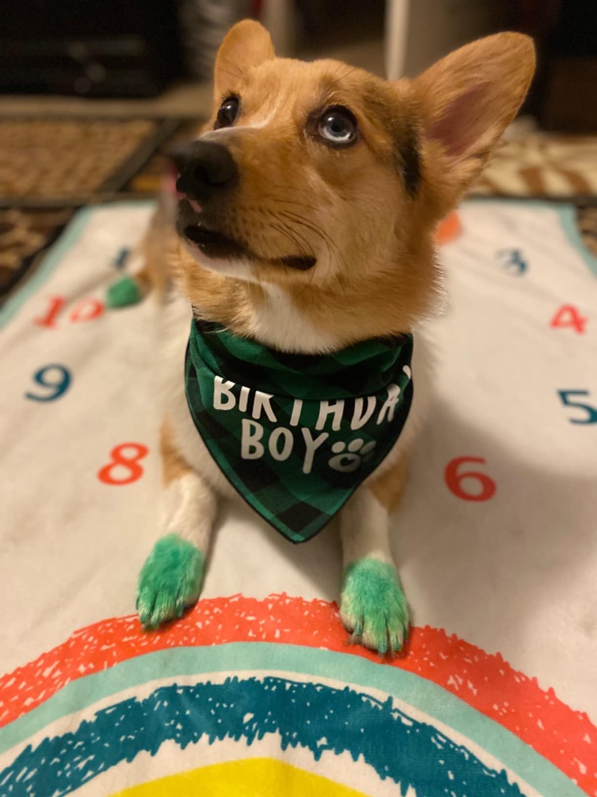 Bandana PICKUPIK anniversaire vert accessoire mode facile à coordonner.