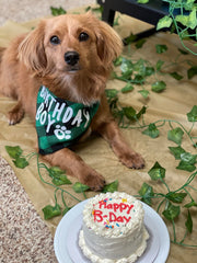 Bandana PICKUPIK anniversaire vert matière douce et légère pour le confort.