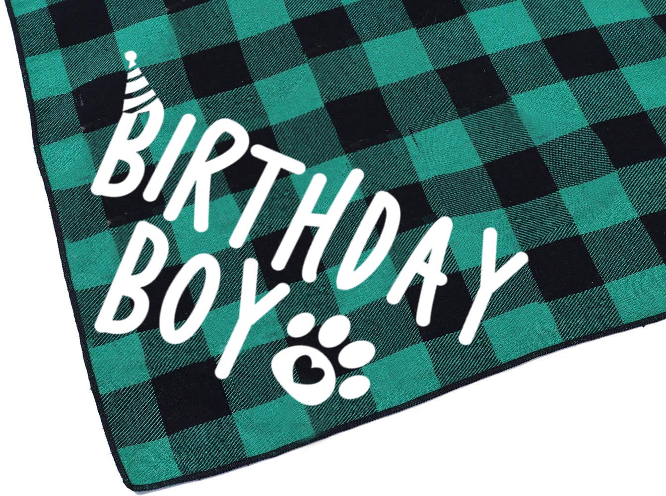 Bandana PICKUPIK anniversaire vert idéal pour les séances photo festives.