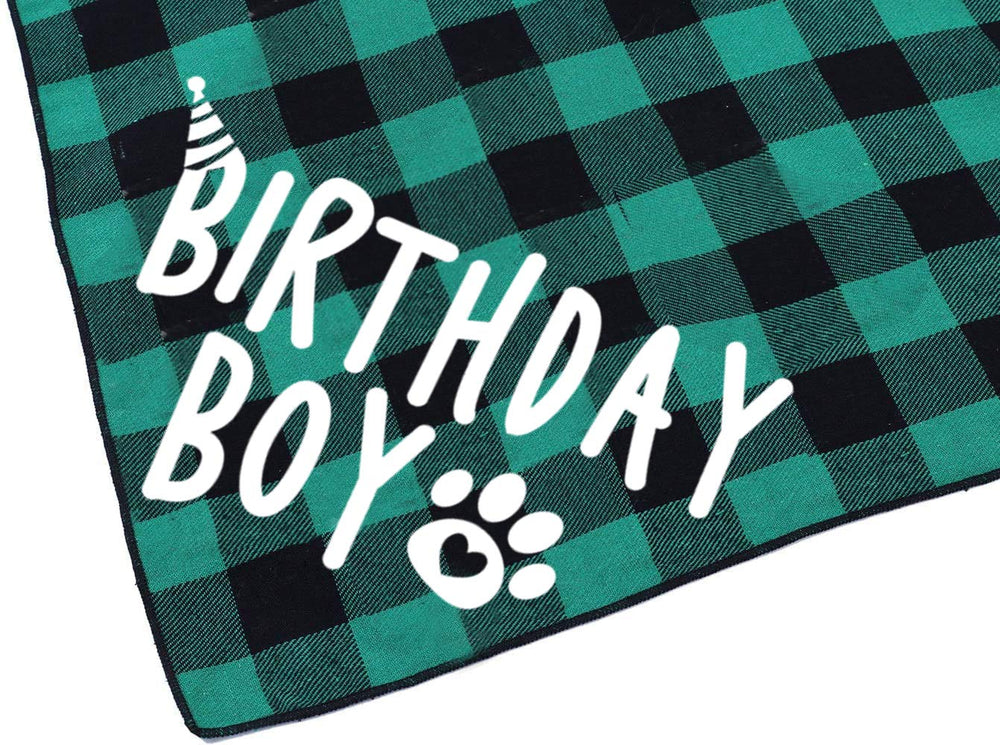 Bandana PICKUPIK anniversaire vert idéal pour les séances photo festives.