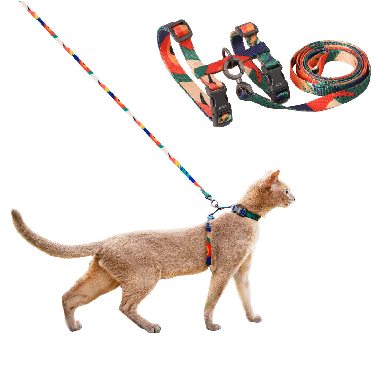 Harnais pidan XL pour chat en extérieur, sécurité et confort accrus.