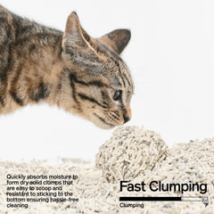 Litière Pidan Mix pour chats: faible poussière et nettoyage plus propre.