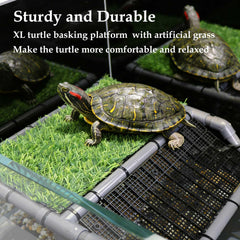 PIESOYRI Pont PVC avec rampe, accès facile pour tortues actives.