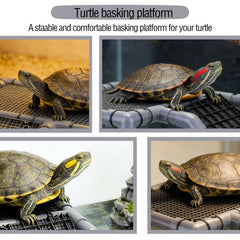 PIESOYRI ventouses-anti-dérapantes pour tortue assurent une fixation stable.