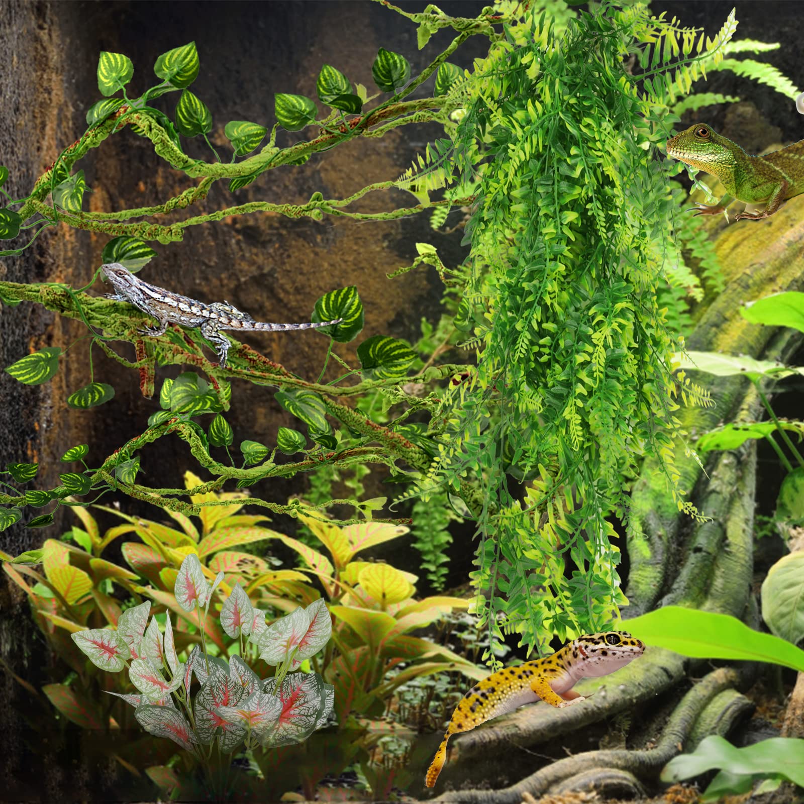 PietyPet ensemble décor terrarium reptile, création d'habitat vivant