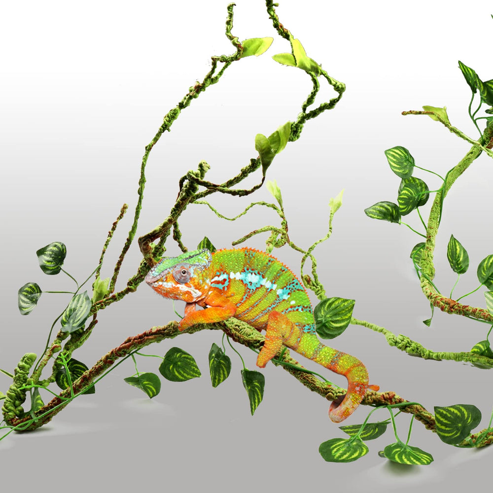 PietyPet ventouses robustes, fixations sûres pour terrarium