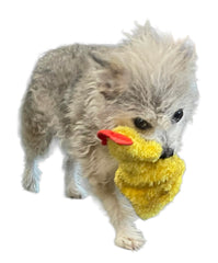 Piggy Poo and Crew: jouet durable avec bruit crissant pour sessions de jeu prolongées.