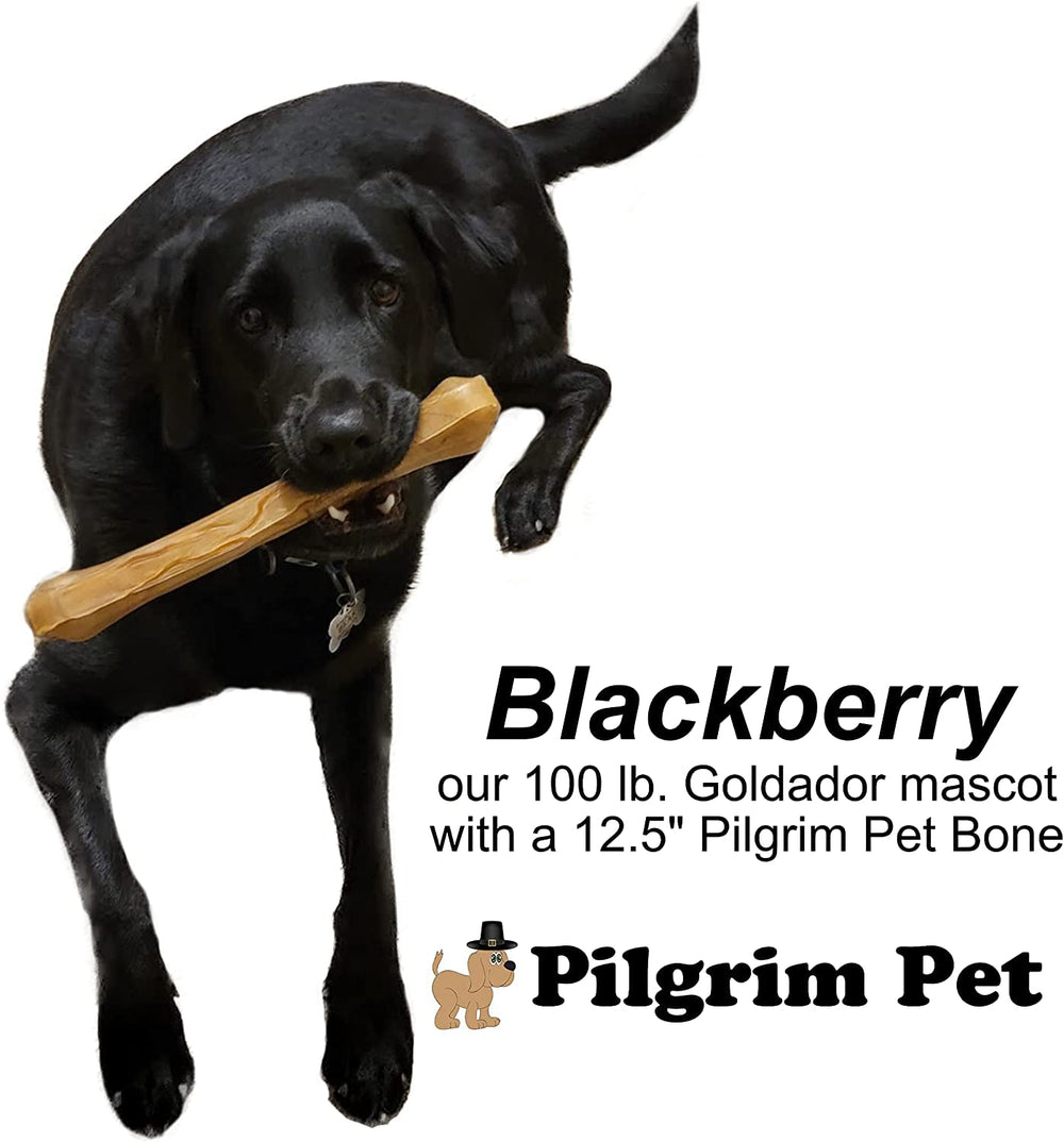 Pilgrim Pet utilisation-quotidienne: os durables pour récompenses répétées.
