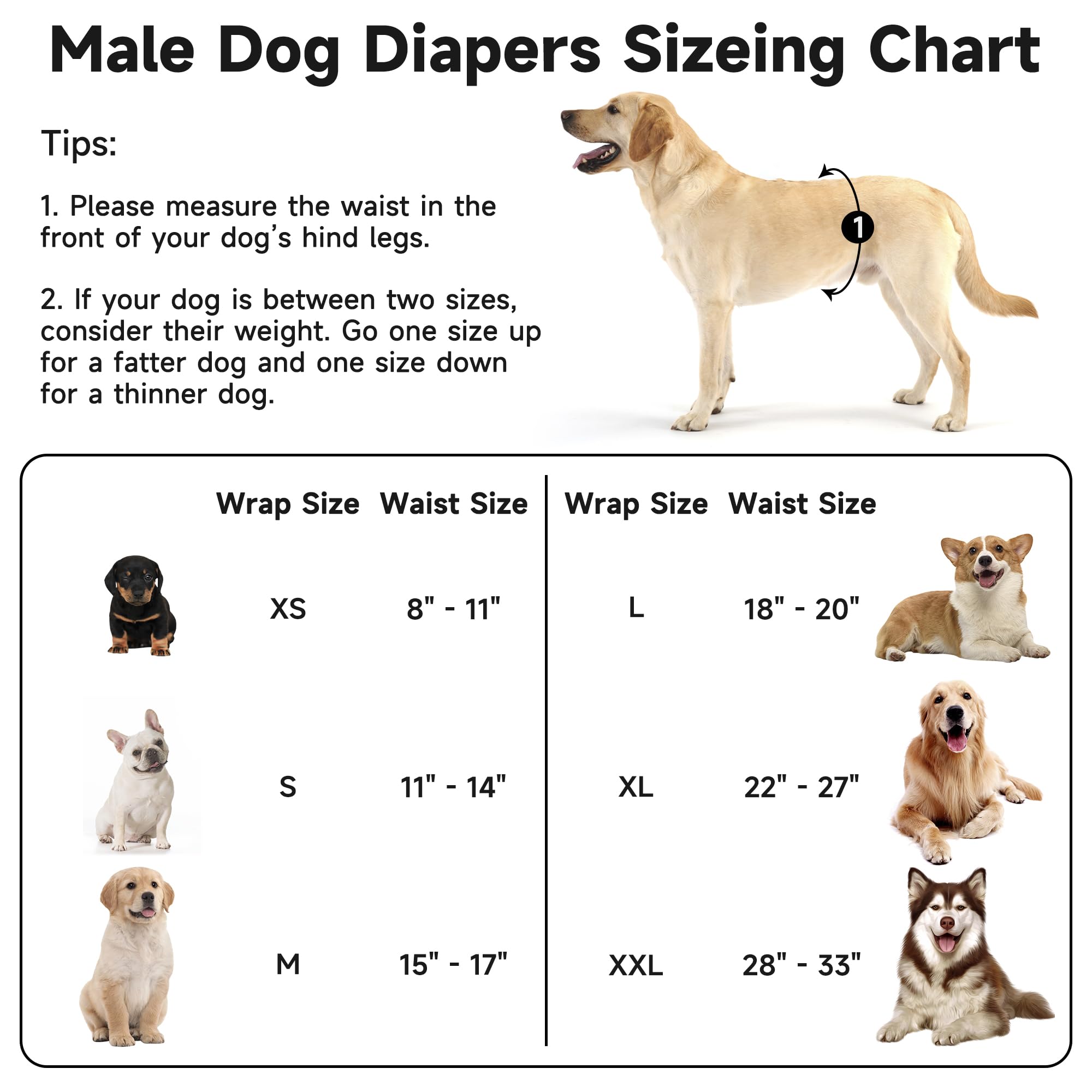 Pilviset bandes ventrales pour chien mâle absorbantes, protection fiable au quotidien.