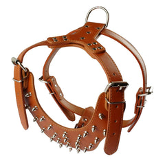 Pimaodog détail cuir PU rouge, texture douce et durable.