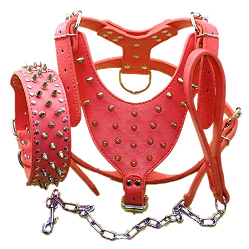 Pimaodog harnais à clous rouge, confort et style pour les promenades.
