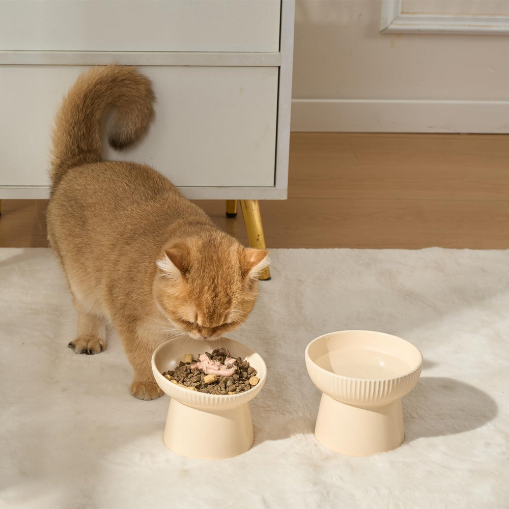 Pin Forest adaptée pour chats et petits chiens, solution polyvalente.