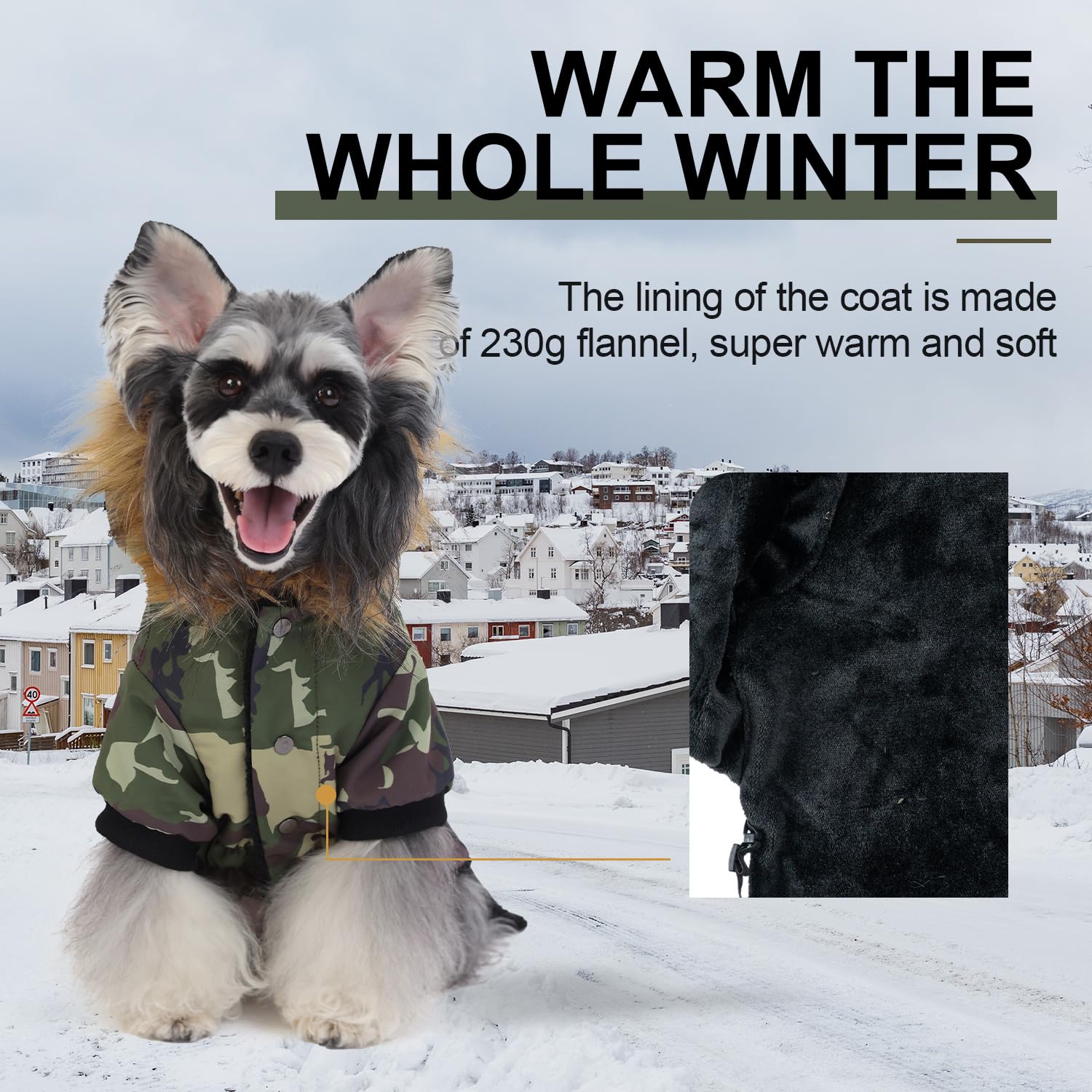 Manteau PINA pour petit chien, vue arrière, protection contre le vent.