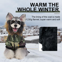 Manteau PINA pour petit chien, vue arrière, protection contre le vent.