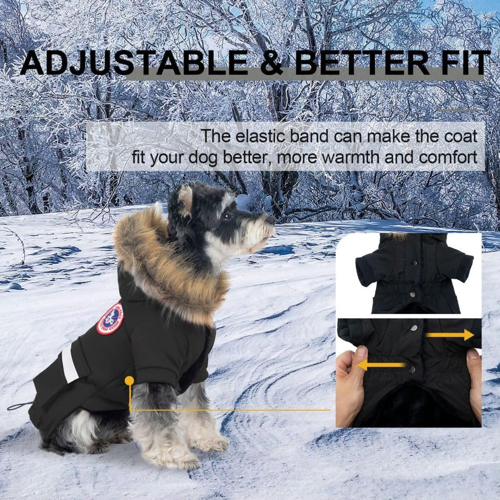 PINA manteau chien imperméable protège contre pluie et vent.