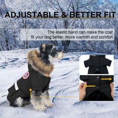 PINA manteau chien imperméable protège contre pluie et vent.