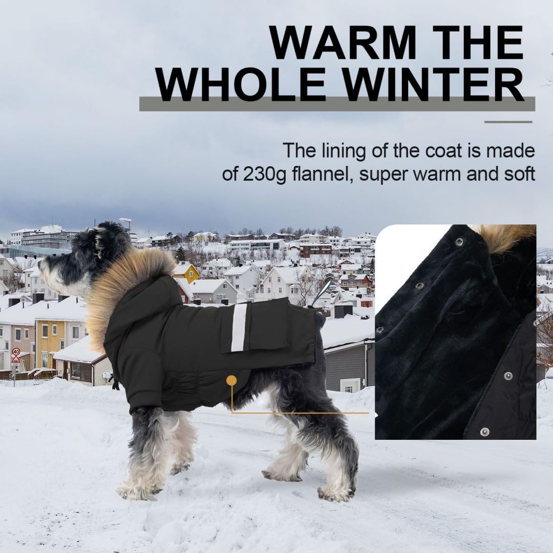 Manteau PINA pour petit chien, doublure flanelle chaude pour l'hiver.