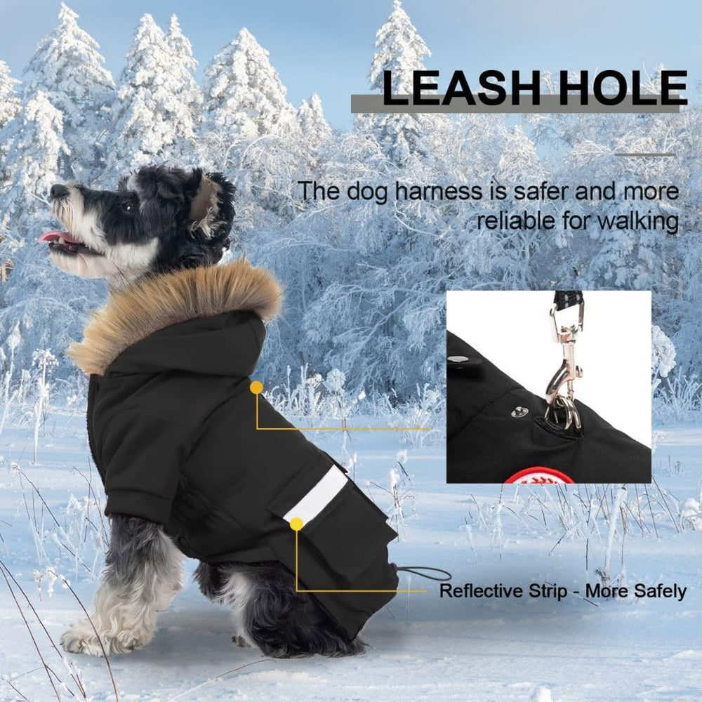 PINA manteau chien capuche ajustable facilite l'enfilage sans zip.