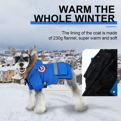 Manteau PINA pour petit chien, doublure flanelle chaude pour énergie et douceur.