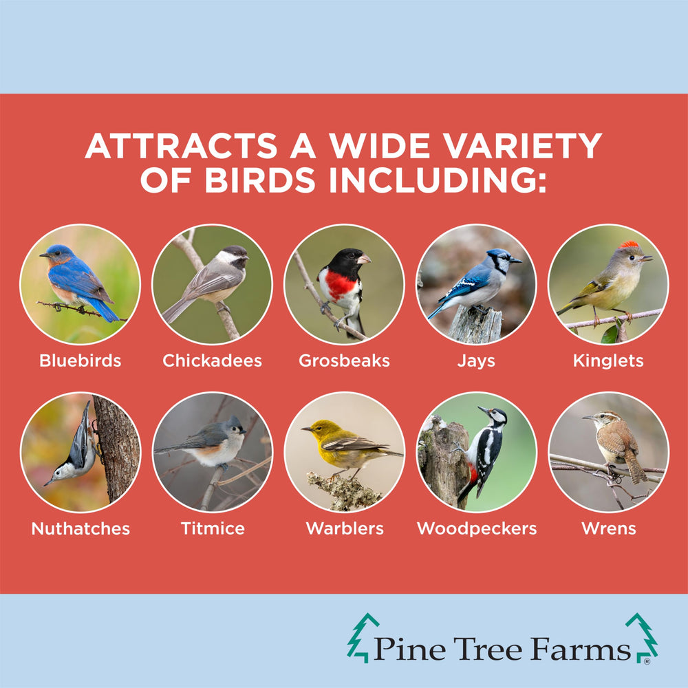 Pine Tree Farms bûche-graines-arachides: énergie durable pour oiseaux actifs.