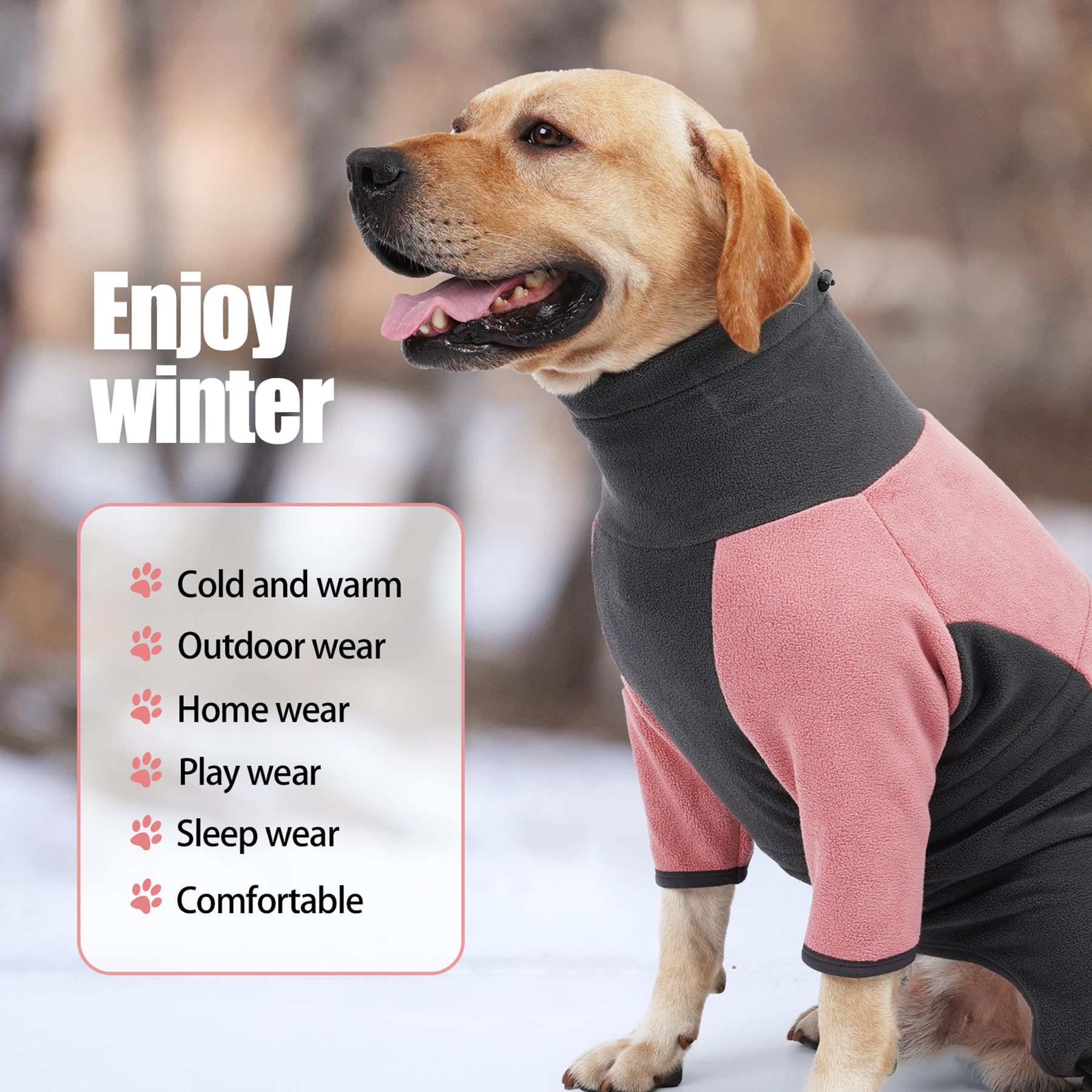 Activités hivernales en extérieur avec le chien grâce au vêtement Pinellia rose.