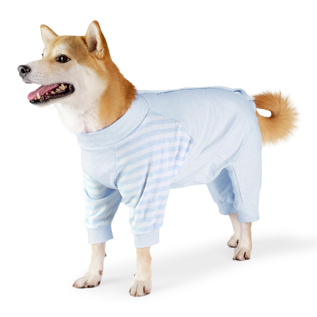 Pinellia veste rétablissement chien épaule : protection douce et confort.