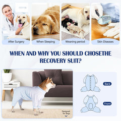 Pinellia veste rétablissement chien protection-poils : couvre le pelage et réduit les dégâts à la maison.