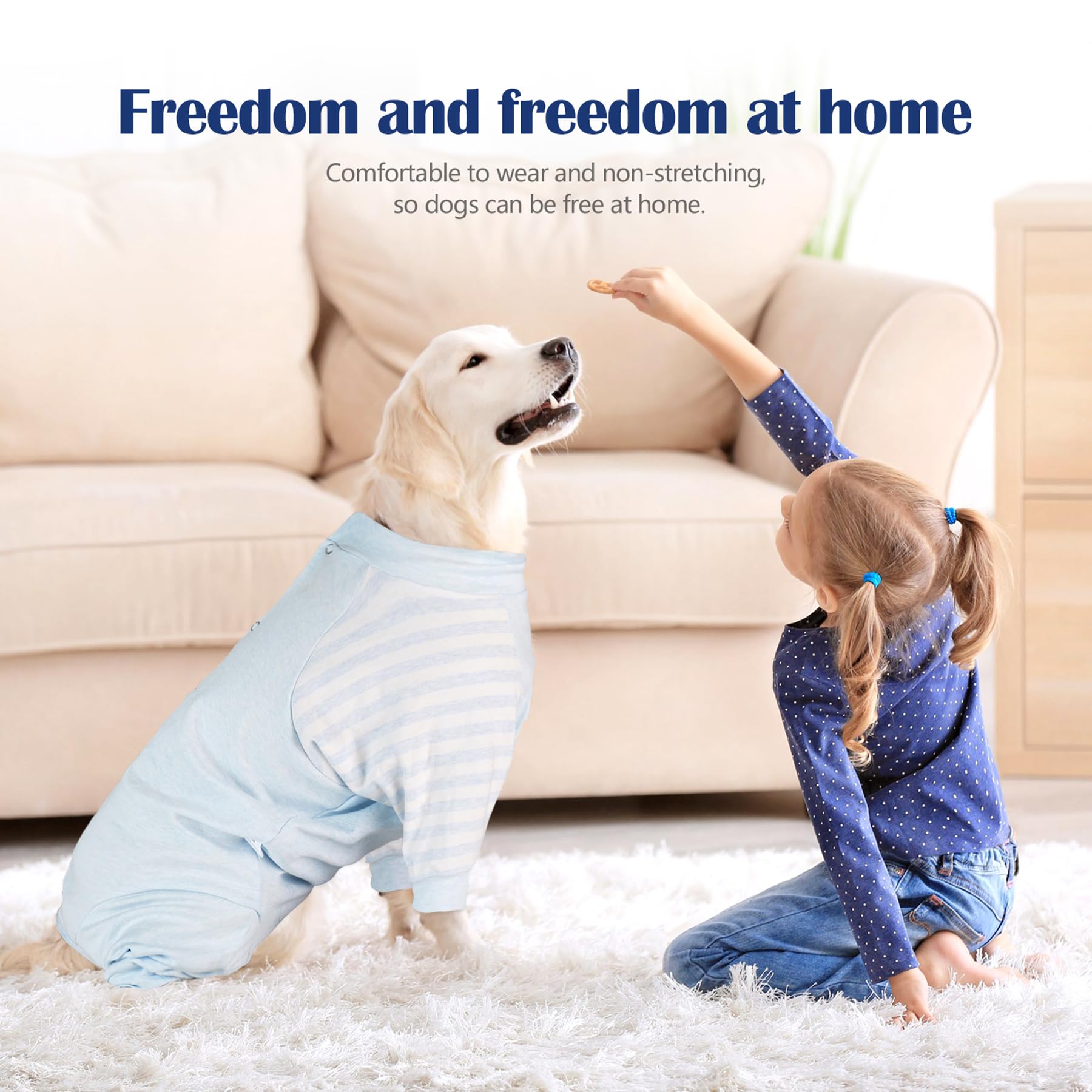 Pinellia veste rétablissement chien utilisation-quotidienne : idéale pour sorties et repos à la maison.