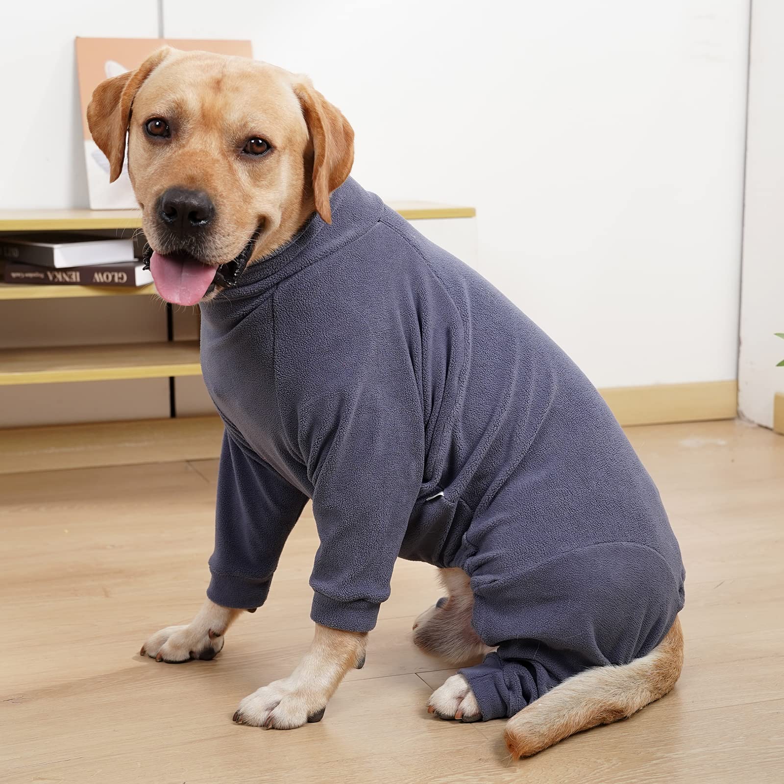 Activités intérieures et extérieures facilitées avec le manteau Pinellia pour chien.